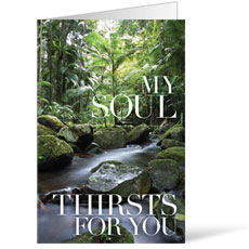 My Soul Thirsts 