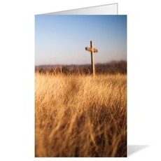 Cross and Wheat Field 